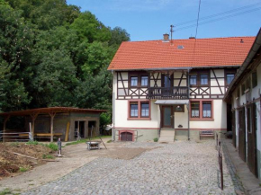 Pferdehof und Wanderreitstation Dörsam Mörlenbach